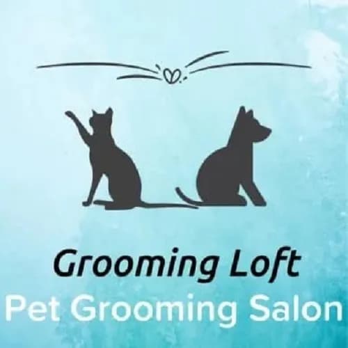 Grooming Loft Pet Salon